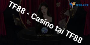 casino-tf88-online-tf88.green-1