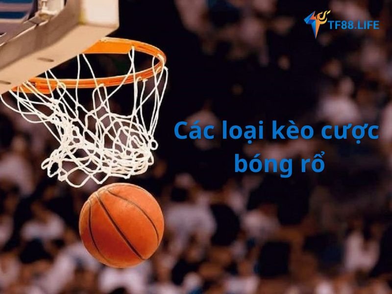 keo-ca-cuoc-bong-ro